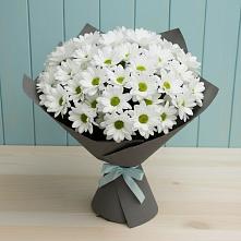 Букет цветов из:  Хризантемы #REPLACE_PRED# Намцах